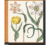 Basilius Besler. The Garden at Eichstätt Edition trilingue français-anglais-allemand - Klaus Walter Littger - Taschen - relié - Beau livre