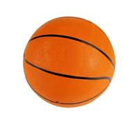 Basket-ball en plein air Standaard