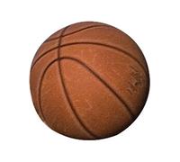 Basket-ball en plein air Standaard