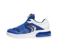 Basket Geox J Xled B.B - MESH + GEOBUCK - Royal/White 31