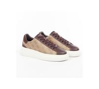Basket Guess Elba Homme Beige - 41