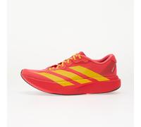Baskets adidas Adizero Evo Sl Lucid Red/ Bold Gold/ Semi Lucid Blue EUR 36 2/3