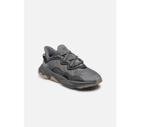 Baskets adidas originals Ozweego pour Homme 40 Gris