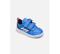 Basket Adidas Originals Tensaur Bébé - GW9082 - Bleu - Scratch - Synthétique - Garçon - Plat 20