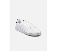 adidas Baskets basses ADVANTAGE in Blanc 36