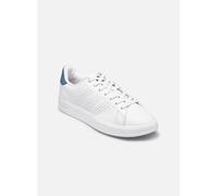 adidas Baskets basses ADVANTAGE PREMIUM in Blanc 42 2/3