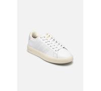 Baskets adidas sportswear Advantage Premium W pour Femme 38 2/3 Blanc