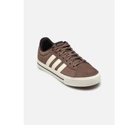 Baskets adidas Daily 4.0 marron - 40