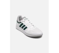 Baskets adidas sportswear Hoops 3.0 Summer M pour Homme 40 Blanc