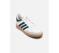 Adidas Mixte Hoops 4.0 Shoes, FTWR White/Collegiate Green/Gum 3, 44 EU