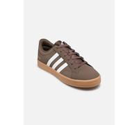 adidas Baskets basses VS PACE 2.0 in Beige 41 1/3