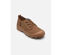 Baskets Aigle Tenere Cvs Low M pour Homme 45 Marron
