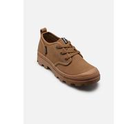 Aigle Tenere Cvs Trainers Marron EU 41 Homme