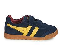 Gola Baskets basses enfant HARRIER VELCRO in Bleu 34