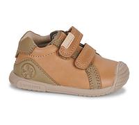 Baskets basses enfant garcons Biomecanics BIOGATO CASUAL Marron 19