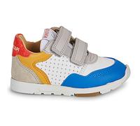 Baskets basses enfant garcons Pom d'Api POUSS BUMP PERFO Multicolore 24