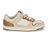 Coach Baskets basses C201 in Beige 39