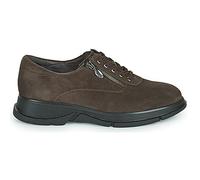 Baskets basses femmes Scholl BRISTOL ZIP Marron 38