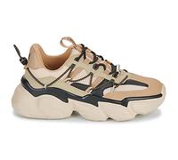 Baskets basses femmes Steve Madden SPECTATOR Beige 37