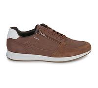 Baskets basses hommes Geox U AVERY Marron 41