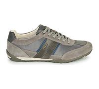 Baskets basses hommes Geox U WELLS C Gris 45