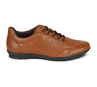 Geox Baskets basses UOMO SYMBOL in Marron 46