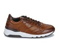 Baskets basses hommes Martinelli NEWPORT Marron 41