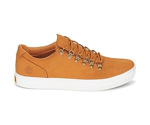 Baskets basses hommes Timberland ADV 2.0 CUPSOLE ALPINE OX Marron 42