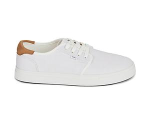 Baskets basses hommes Toms CARLO Beige 45