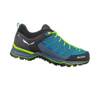 Salewa Mountain Trainer Lite Hiking Shoes Bleu EU 44 Homme