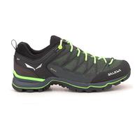 Salewa Mountain Trainer Lite Goretex Hiking Shoes Vert EU 45 Homme