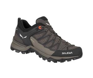 Baskets Basses Salewa Mtn Trainer Lite Gtx - 40