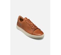 Baskets Bocage MONTGOMERY pour Homme 45 Marron