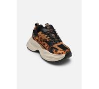 Baskets Buffalo Yuno pour 39 Marron
