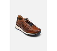 Baskets Bugatti Dip pour Homme 46 Marron