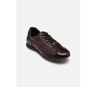Baskets Bugatti Dix pour 44 Marron