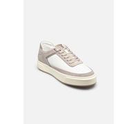 Baskets Calvin Klein Cupsole beige blanc - 44