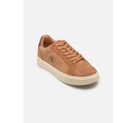 Baskets Calvin Klein CLASSIC CUPSOLE LACE pour Homme 40 Beige