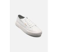 Baskets Calvin Klein VULC LACE UP CANVAS pour 39 Blanc