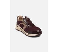 Baskets Caprice 23300-44 pour Femme 39 Bordeaux
