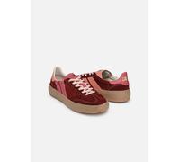 Baskets Caval HIGH PULSE pour Femme 36 Bordeaux