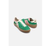 Baskets Caval HIGH PULSE pour Femme 36 Vert
