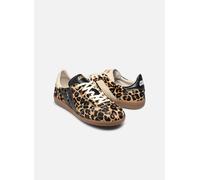 Baskets Caval PULSE pour Femme 36 Marron