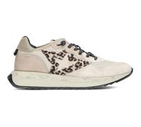 BASKETS CETTI LUX MONTBLANC C-1311 36