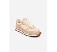 Baskets Clarks CraftRun Tor. pour Femme 37 Blanc