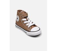 Baskets Converse Chuck Taylor All Star 1V Canvas Seasonal Color Hi I pour Enfant 20 Marron