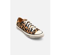 Converse Baskets basses femme Chuck Taylor All Star Cow Print Marron Taille 36 1/2