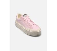 Converse, Femme, Chaussures, Rose, Taille: 38 EU Baskets