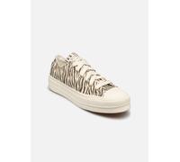 Baskets Converse Chuck Taylor All Star Lift Canvas Archiv pour Femme 39 Blanc