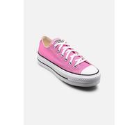 CONVERSE Baskets basses 'CTAS' fuchsia, Taille 38-38,5